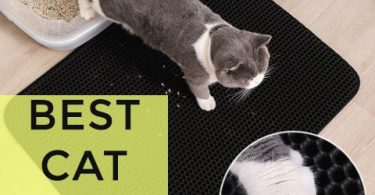 Top 10 Best Cat Litter Mats to Control Mess