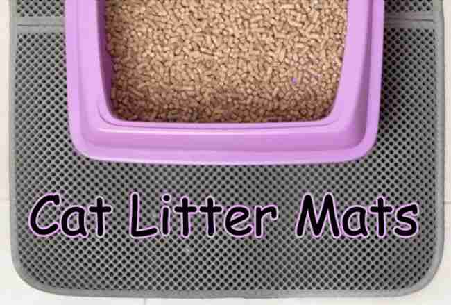 Do Cat Litter Mats Work? Let's Find Out