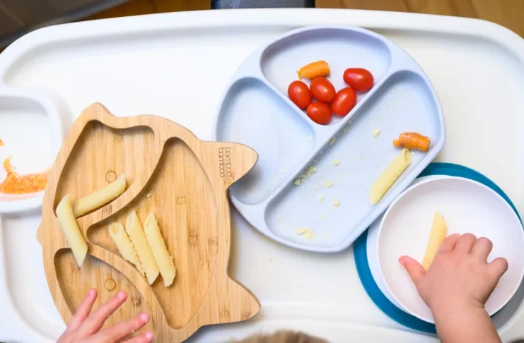 Suction Plates for Toddlers